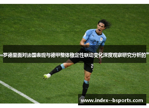 罗德里面对法国表现与德甲整体稳定性联动变化深度观察研究分析的